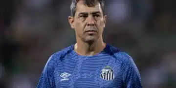 treinador, técnico, especialista, profissional;;