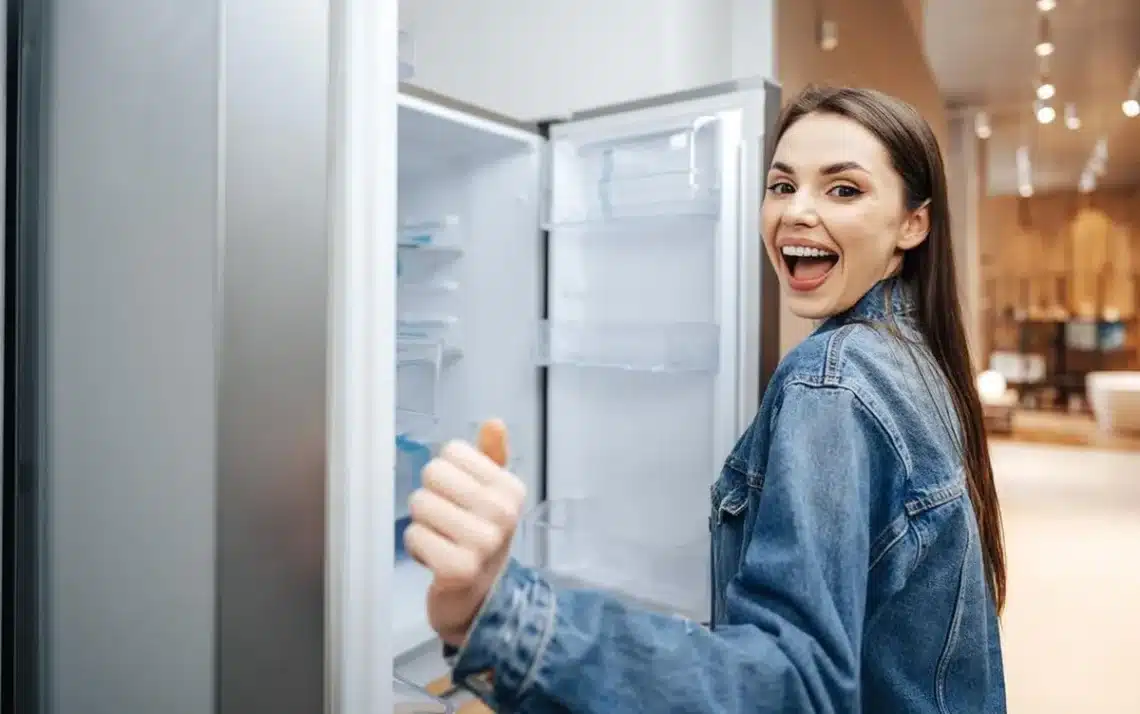 geladeira, refrigerador;