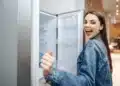 geladeira, refrigerador;