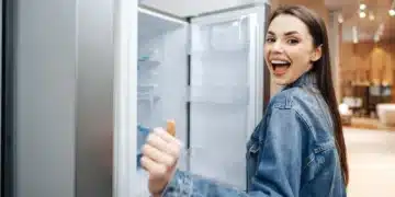 geladeira, refrigerador;