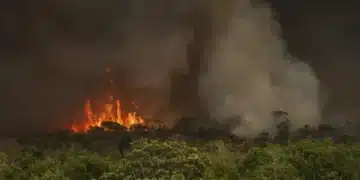 incêndios florestais, fogo selvagem, grandes incêndios;