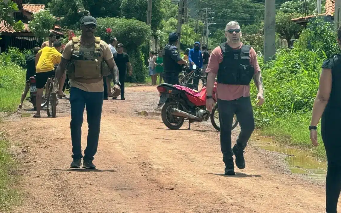 forças de segurança, força policial;